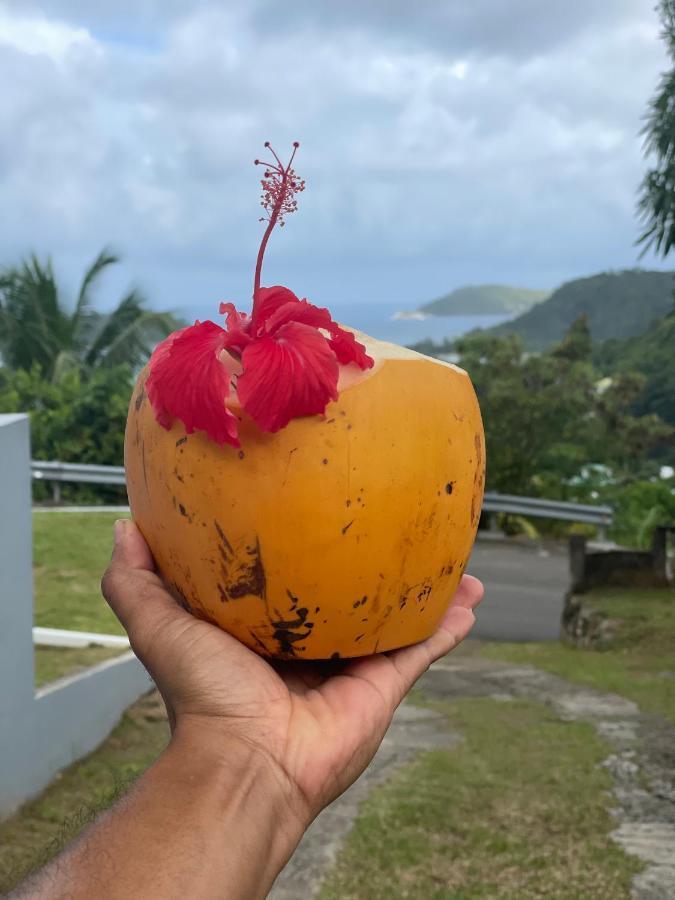 Western Ocean Breeze Self Catering *